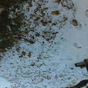 Meet your Posher, Zuly